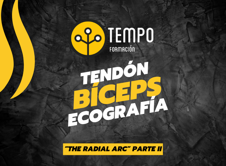 tendon-distal-del-biceps-y-ecografia-parte-ii-the-radial-arc
